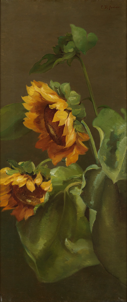 CHARLES ETHAN PORTER (1847 - 1923) Sunflowers.